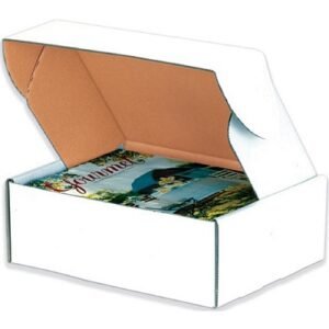 14"X10"X6" Literature Mailer,10123576
